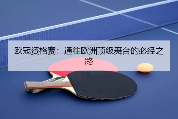 欧冠资格赛：通往欧洲顶级舞台的必经之路
